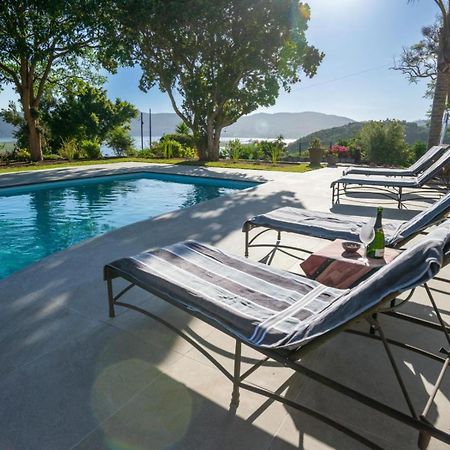 Guest House The Lazy Lion Κνύσνα Εξωτερικό φωτογραφία